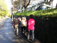 あるくっこの会(仮設近辺を散歩)