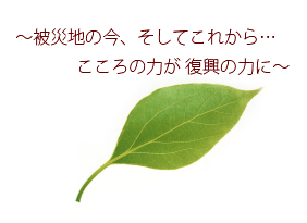 被災地の今、そしてこれから